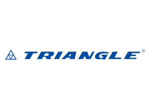 Triangle logo present