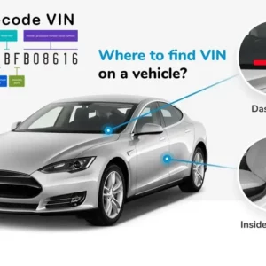 What is a Vehicle Identification Number (VIN) and How Can VIN Save You a Lot of Money?
